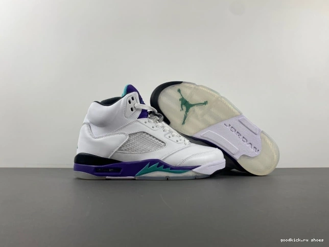 Rep (2013) Jordan Retro Air 136027-108 5 Grape 0818
